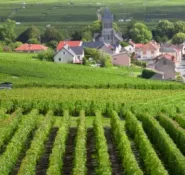 Bourgogne-Franche Comté